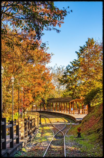 아이와 함께하는 함안향교 여행 (자연학습, 역사교육, 산책코스)