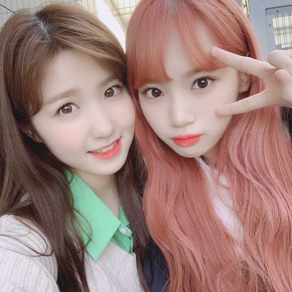 아이즈원 프로듀스48 사진 모음 아이즈원 프로듀스48 사진 모음