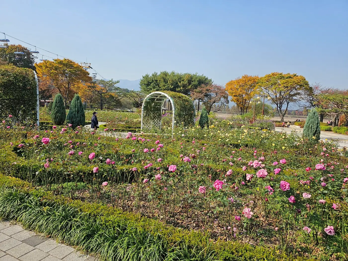 서울대공원 테마가든(장미원)