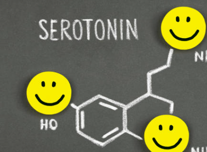 세로토닌 영양제 부족 현상 음식 세로토닌 증후군 / 세로토닌 재흡수 억제제