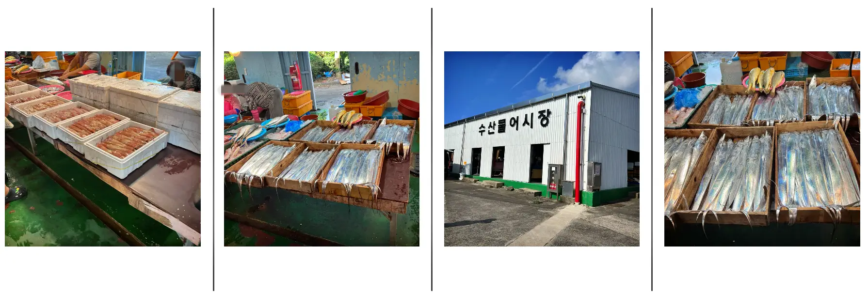 표선시장 내에 있는 수산물 시장 사진 입니다.