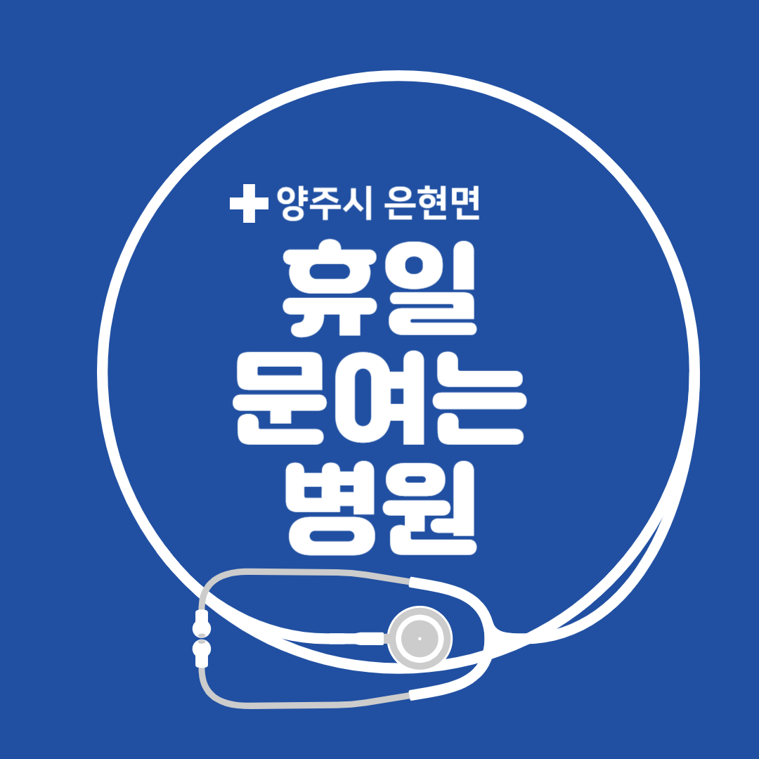 경기도 양주시 은현면 일요일 진료 휴일 문 여는 병원