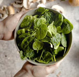 비타민E가 많은 음식