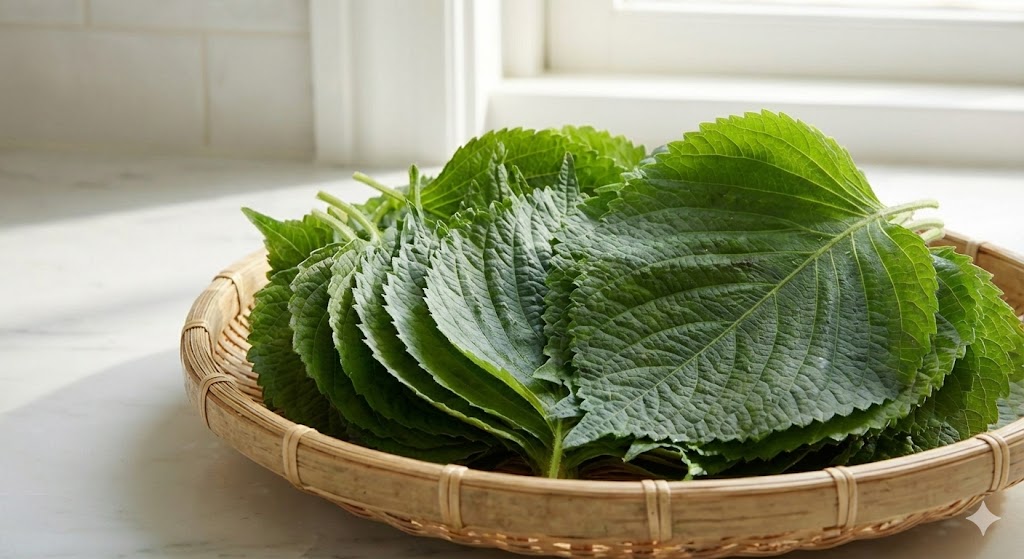 독보적인 향긋함과 톱니 모양의 잎맥이 살아있는 신선하고 파릇파릇한 초록빛 깻잎