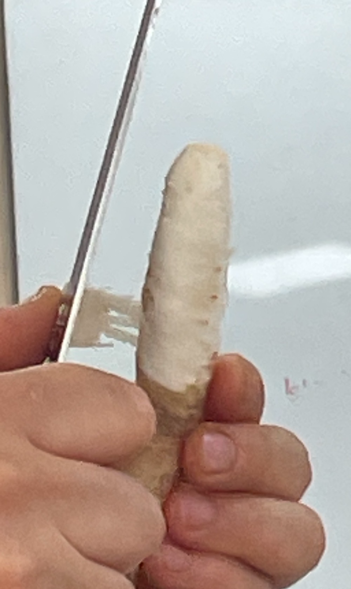 한식조리기능사 실기시험 준비 - 더덕생채 - 더덕 껍질 까기