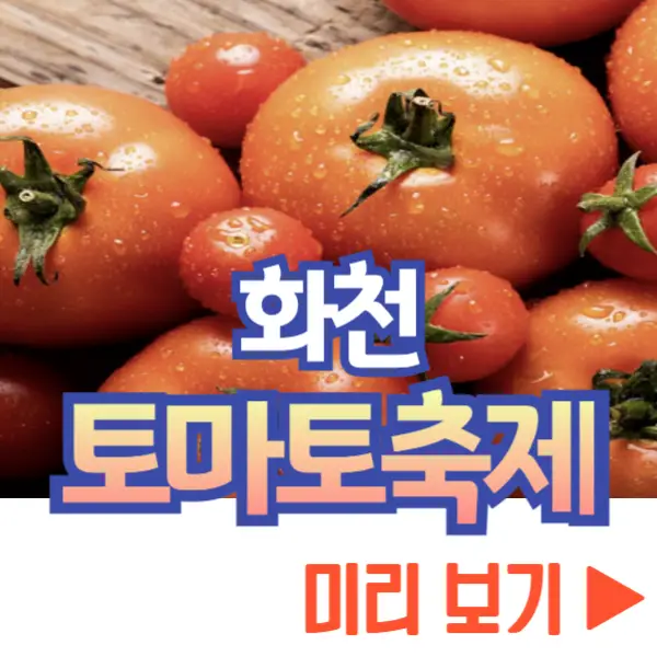 화천 토마토축제