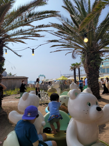카페노티드