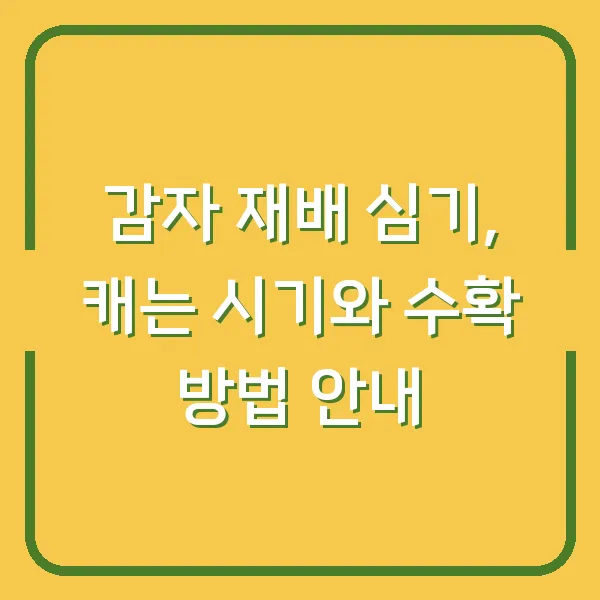 감자 재배 심기, 캐는 시기와 수확 방법 안내