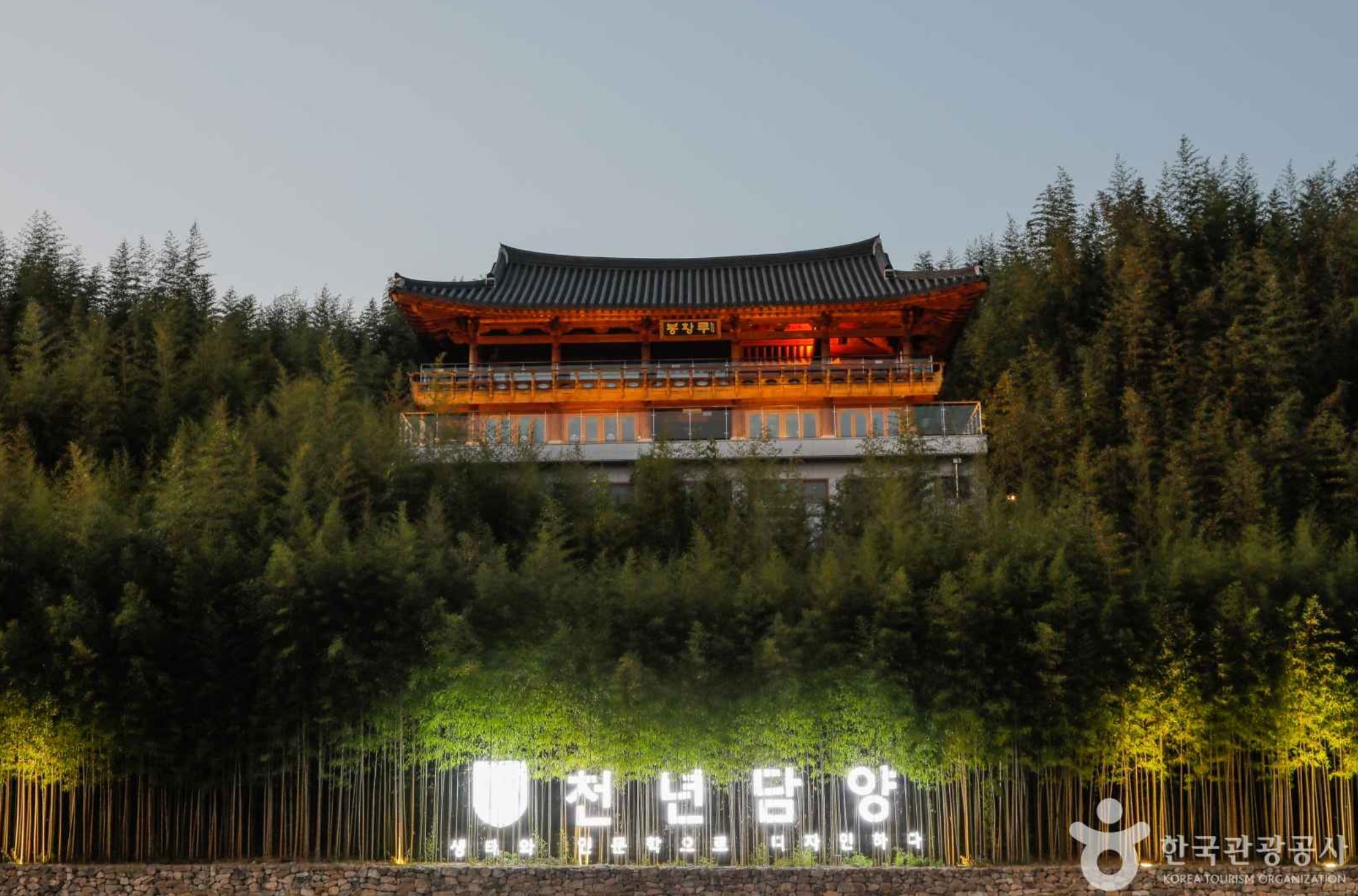 죽녹원-야경