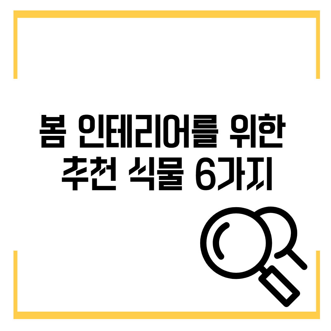 봄 인테리어를 위한 추천 식물 6가지: 싱그러운 분위기 연출하기