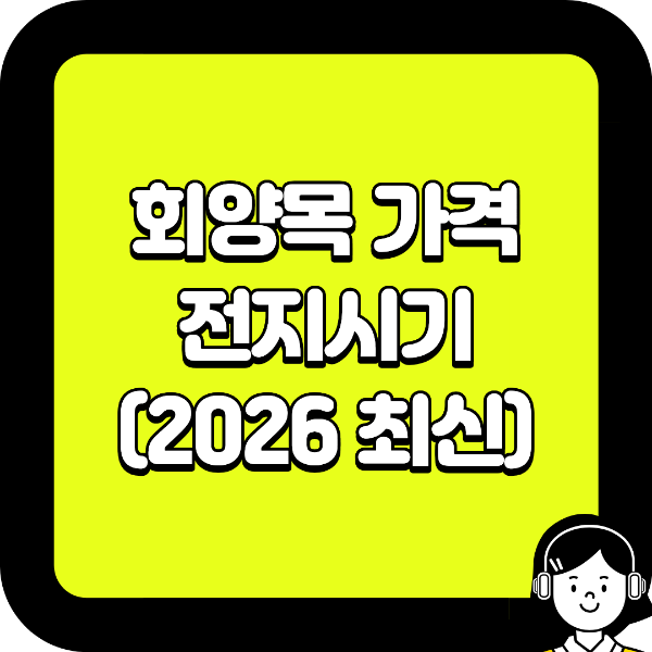회양목 가격 전지시기 (2026 최신)