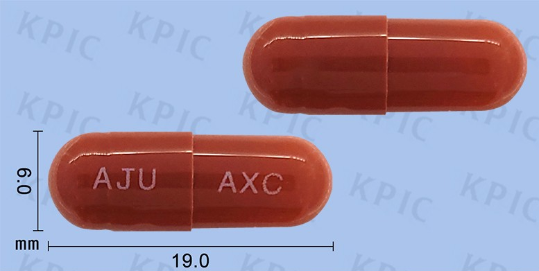 안탁스캡슐 : 알아야 할 모든 것