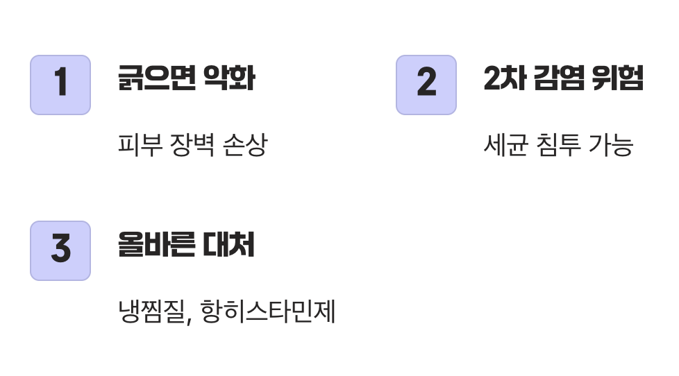 가려움의 덫, 긁으면 번지는 악순환