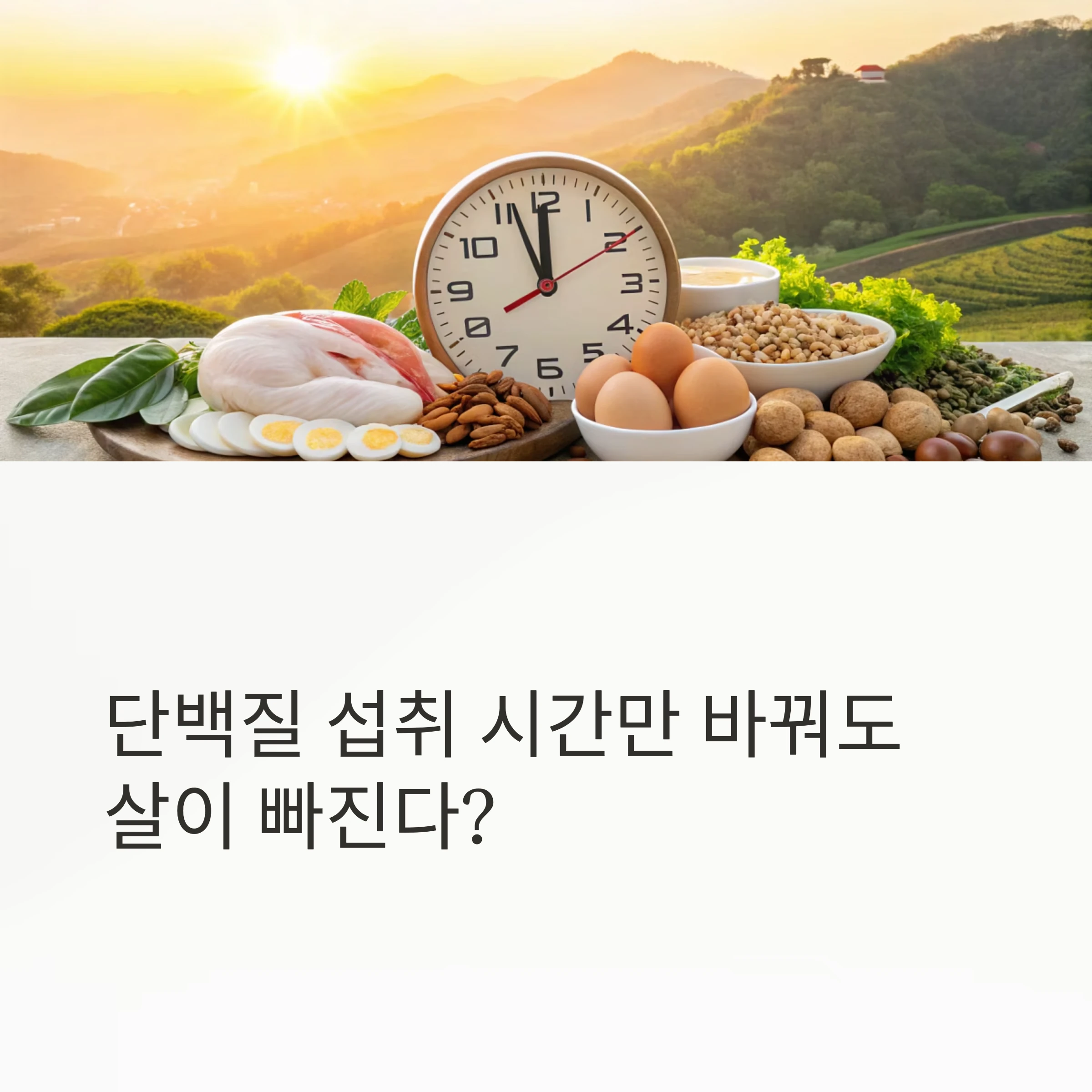 단백질 섭취 타이밍