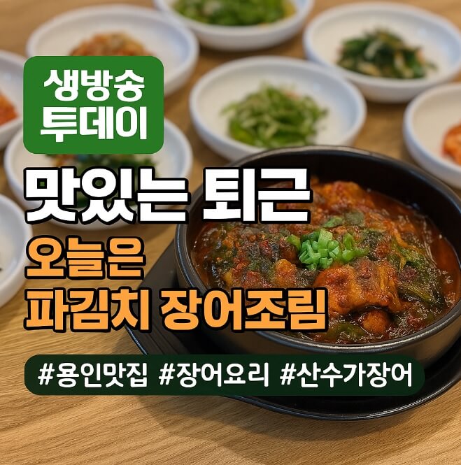 생방송 투데이 맛있는 퇴근 오늘은 파김치 장어조림 산수가장어 88cc 용인 동백직영점