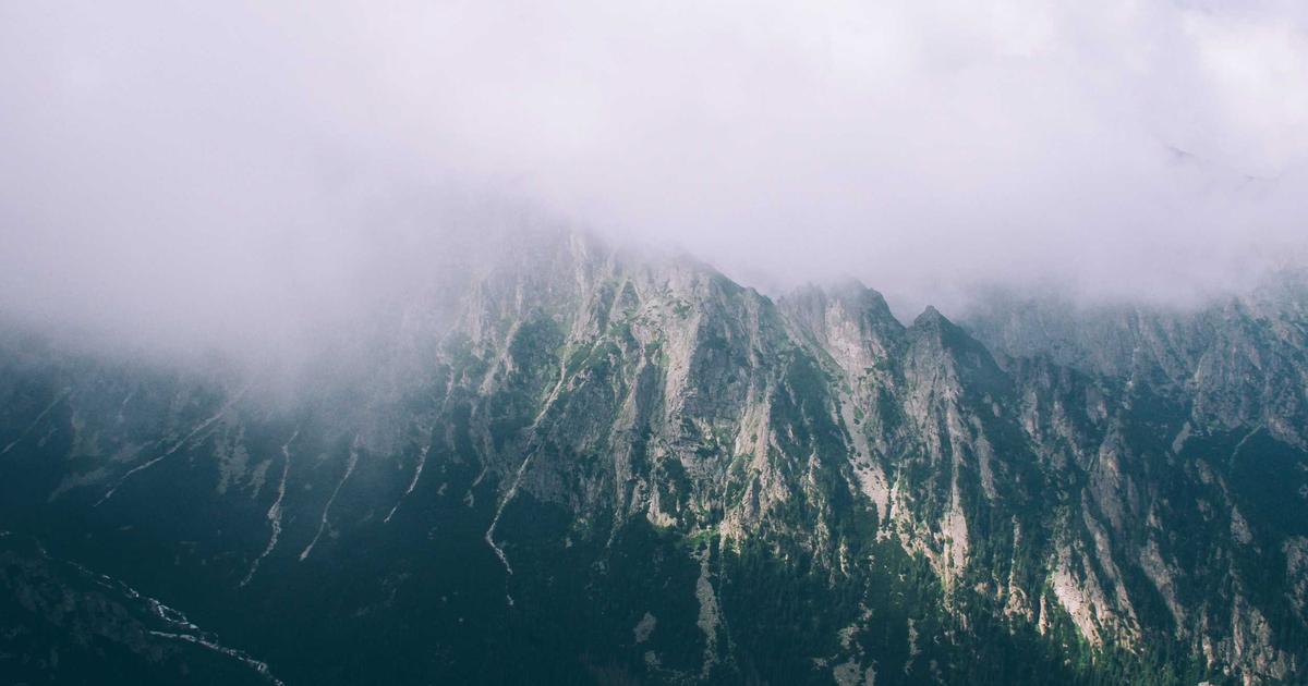 person learning new skill on laptop with AI assistant