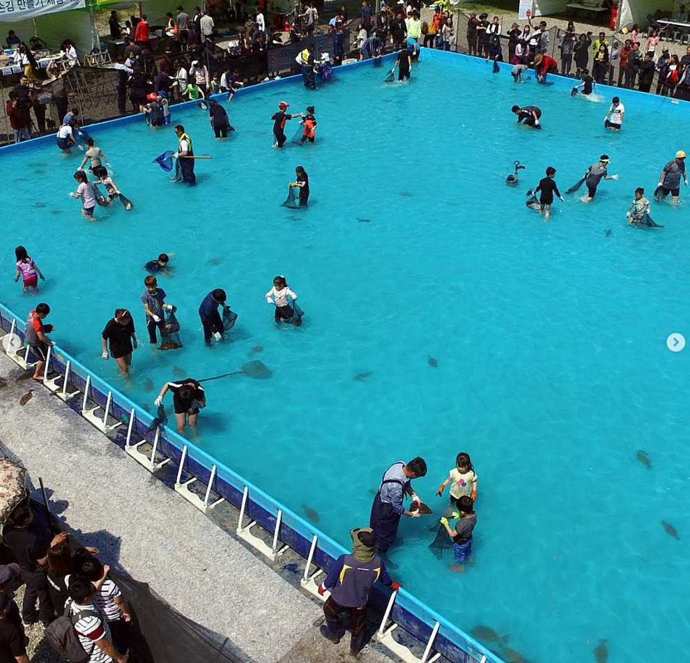 서천 자연산 광어 도미 축제 기본정보