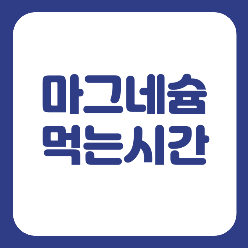 마그네슘 먹는 시간