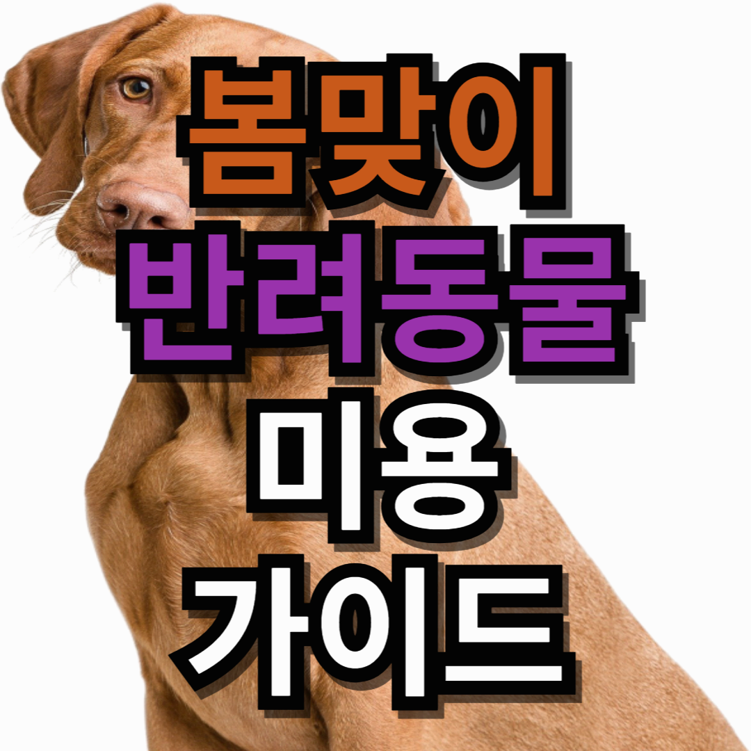 봄철 반려동물 미용 가이드: 건강하고 산뜻한 털 관리법