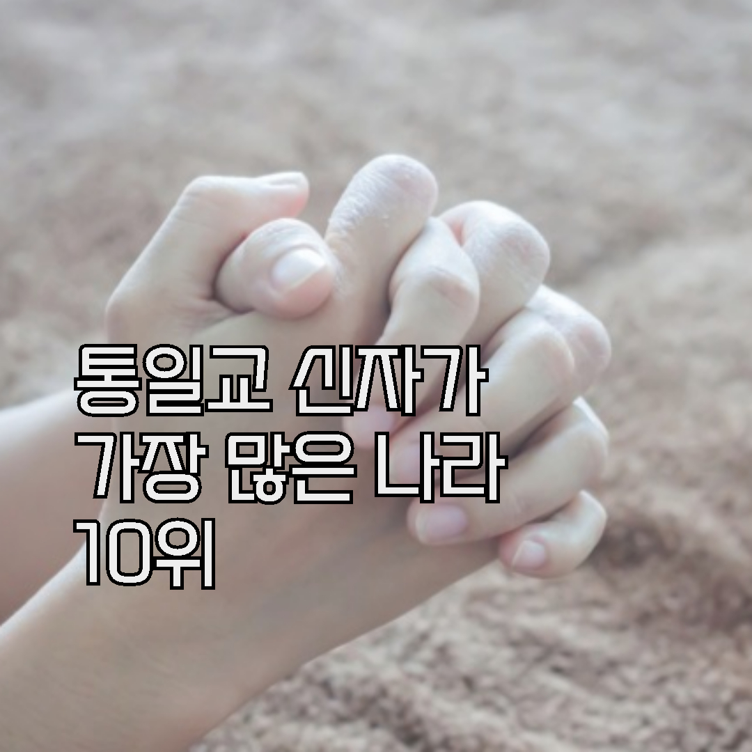 통일교를 믿는 신자