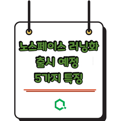 노스페이스 러닝화 출시 예정 5가지 특징 &ndash; 아웃도어 강자의 도전