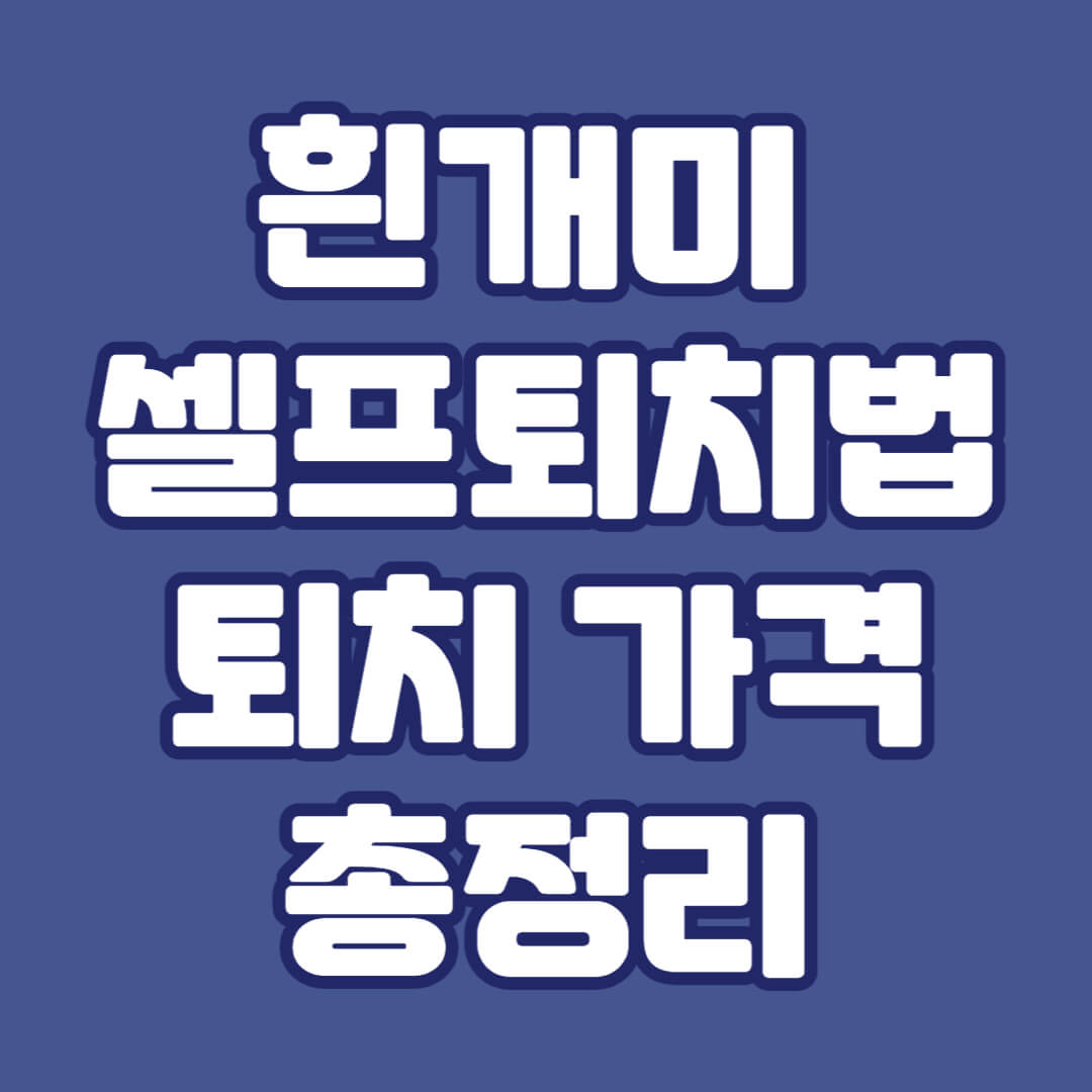 흰개미 퇴치