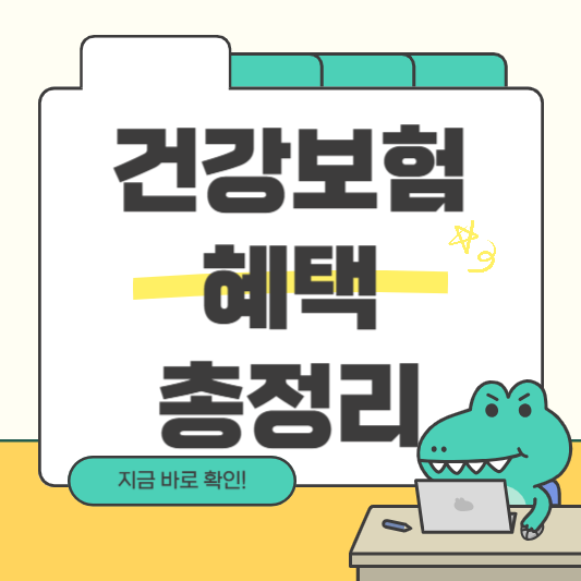 건강보험혜택총정리