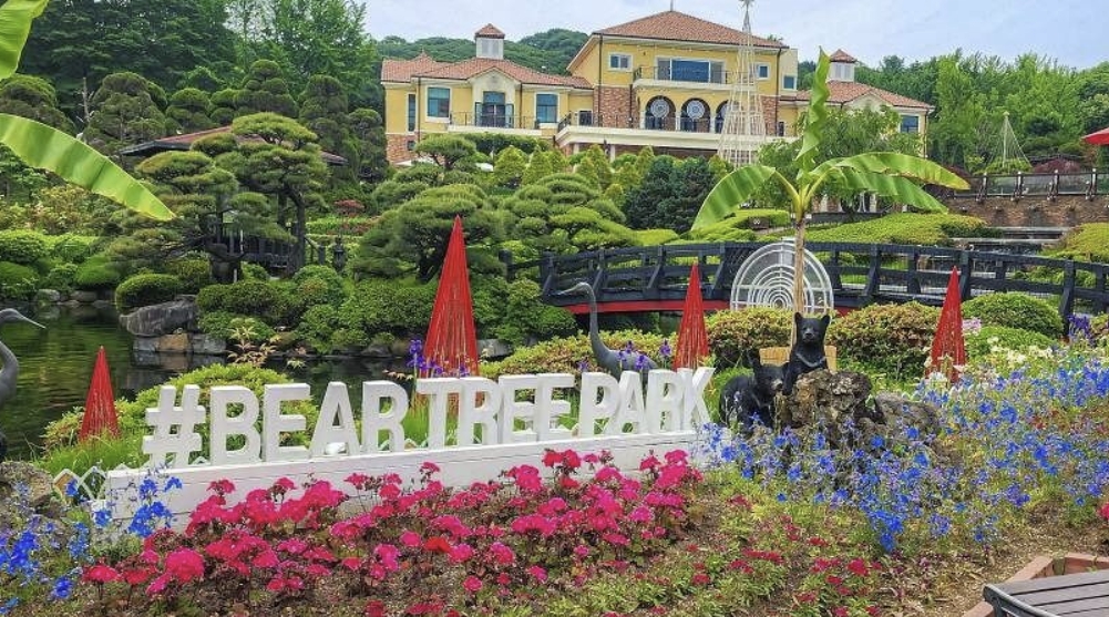 세종 베어트리파크 반달곰과 비단잉어가 어우러진 정원