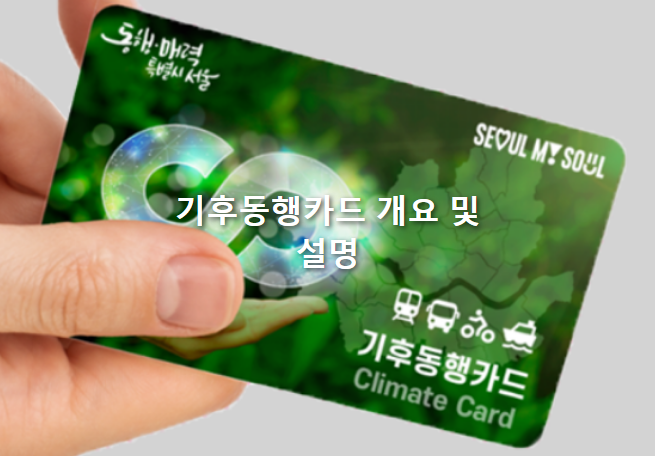 1년 만에 36만 원 절약, 기후동행카드로 당신도 시작하세요!