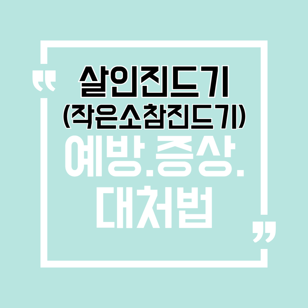 살인진드기 예방.증상.대처법