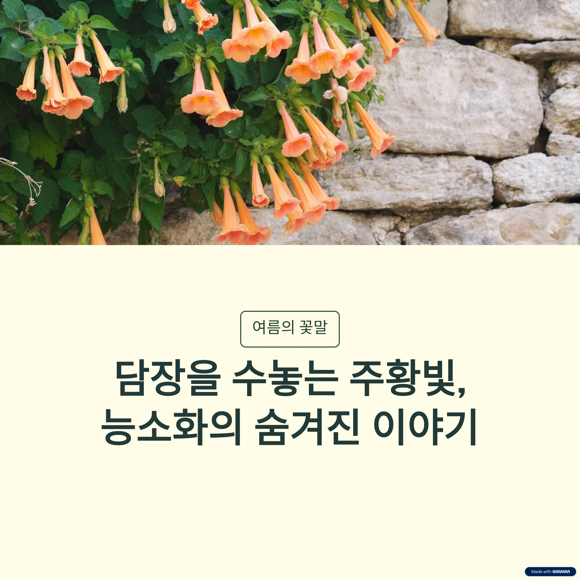 능소화-꽃말