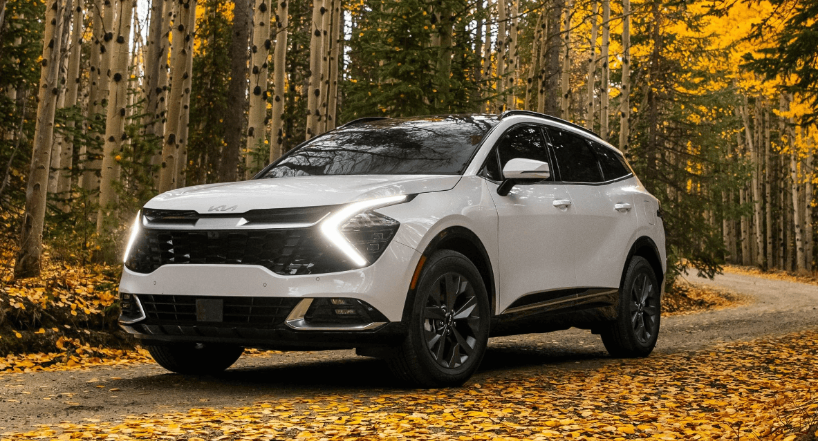 2024 기아 스포티지