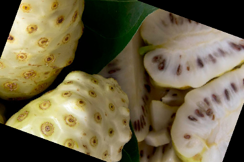 노니 효능 부작용 주스 복용법