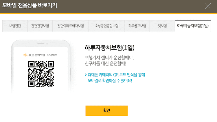 KB손해보험 하루자동차보험