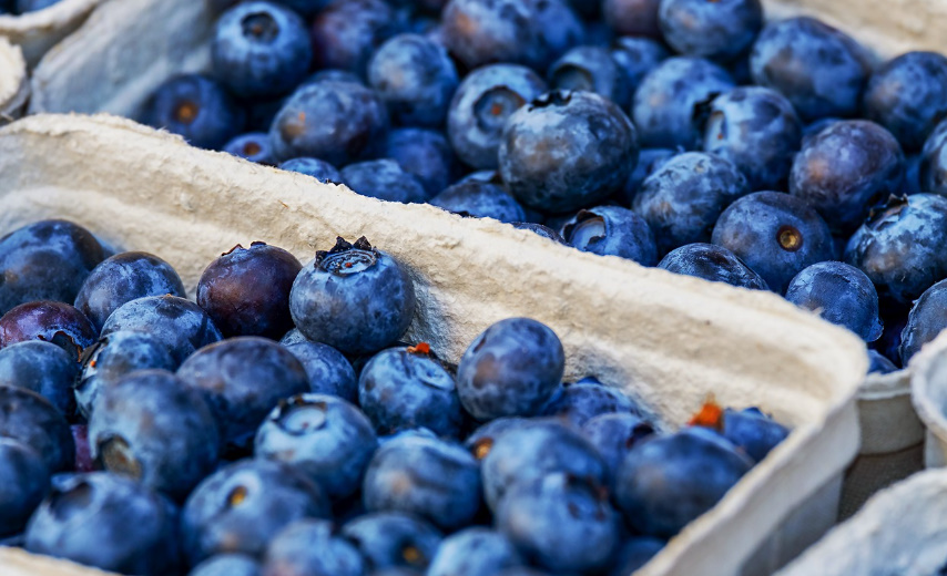 눈에 좋은 음식 사진2