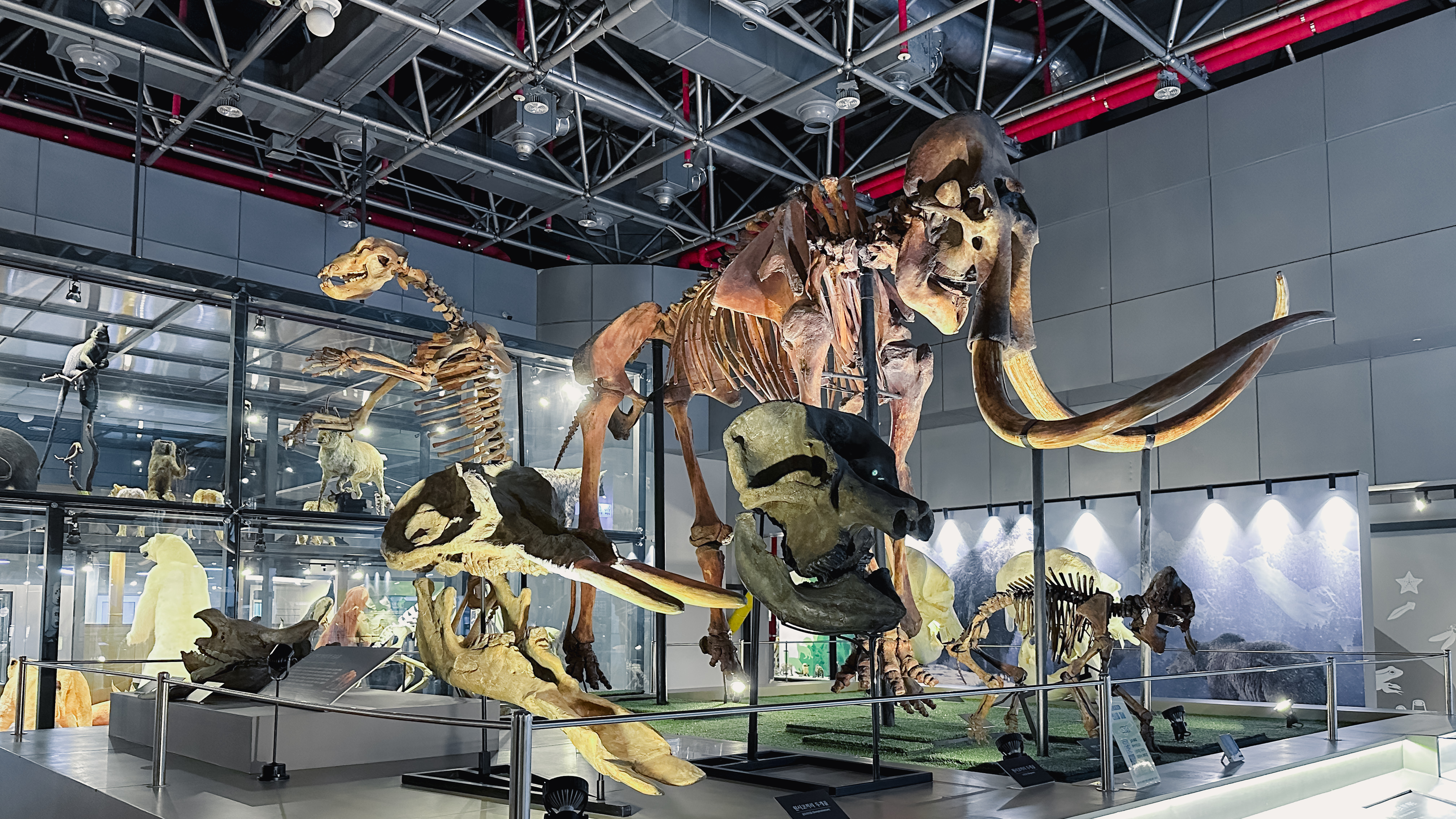 국립 중앙 과학관