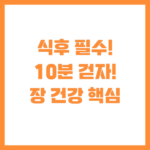 앉지 마세요! 식후 10분 걷기가 장..
