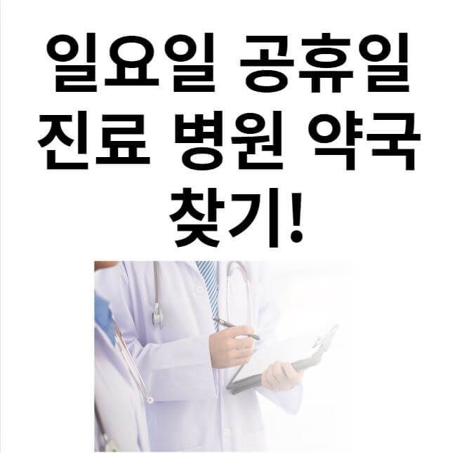 일요일 공휴일 병원 약국 찾기 썸네일