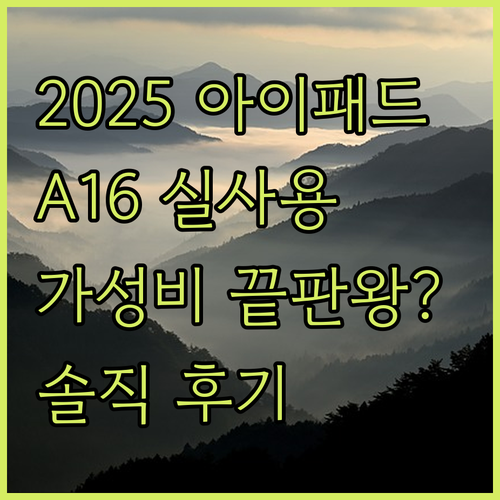 2025년형 아이패드 A16 실사용 