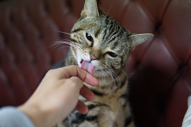 친밀감 표현