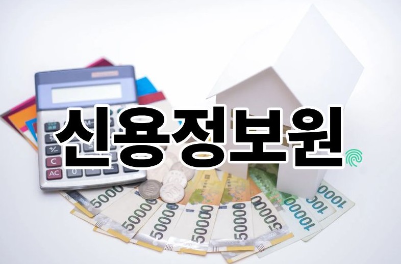 신용정보원