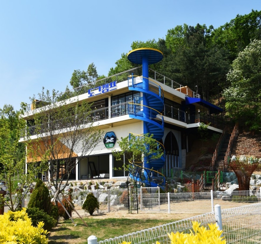 애견 카페 크고 괜찮은 곳7