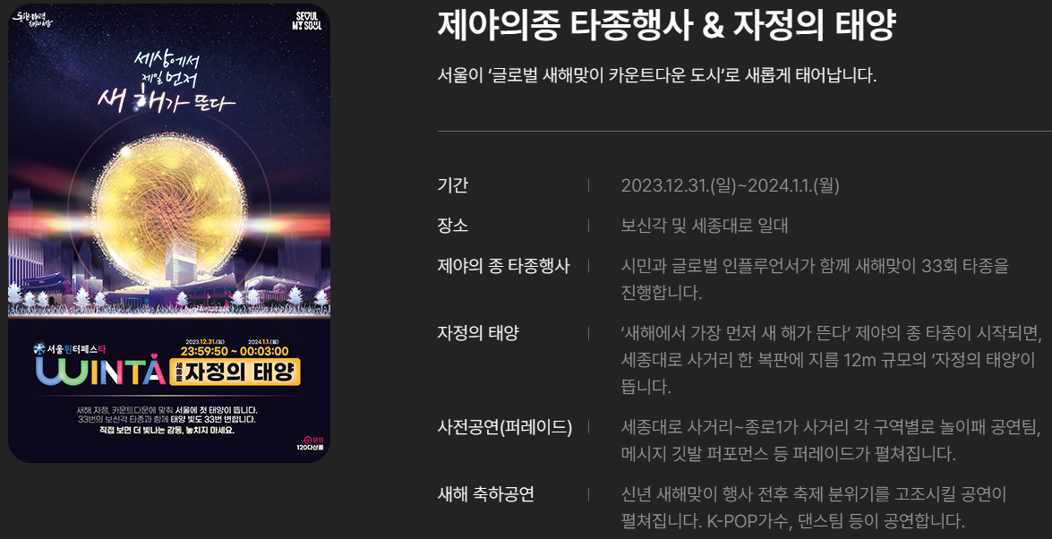 제야의종 타종행사 & 자정의 태양