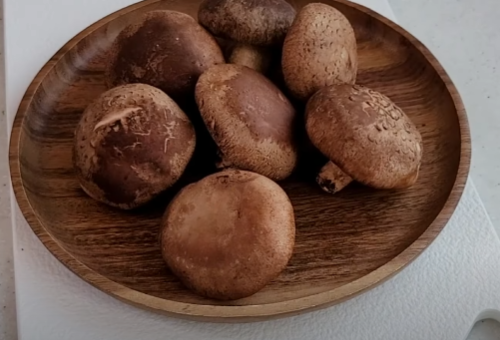 버섯볶음 황금레시피