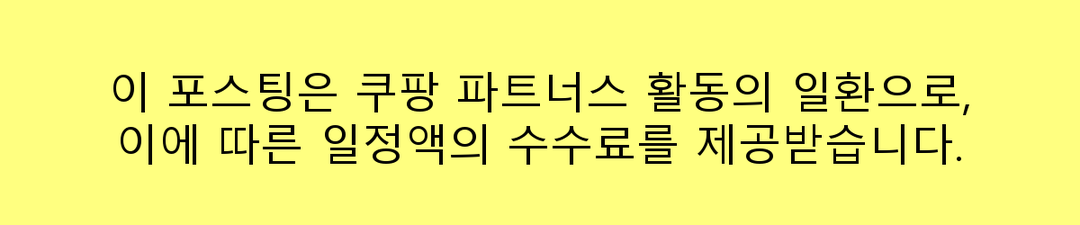 2025 여행용 전기포트 추천 TOP 5