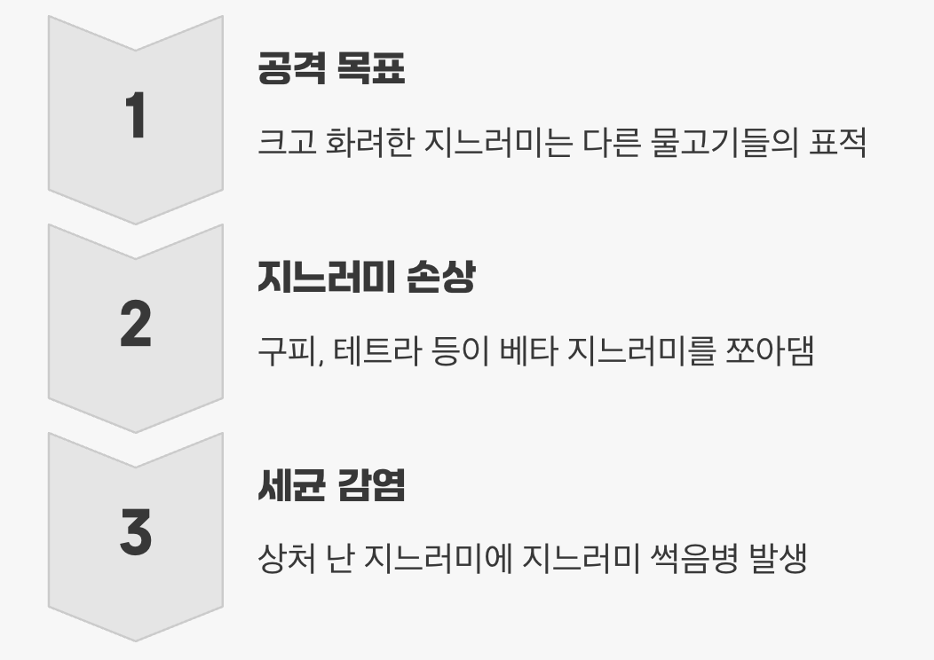 아름다운 드레스가 표적이 될 때