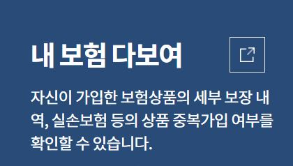 내보험다보여