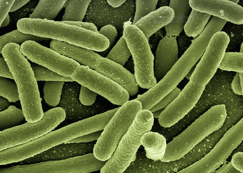 국가건강검진 전년도 미수검자 추가신청방법