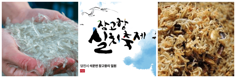 실치회, 장고항 실치축제, 실치볶음 사진