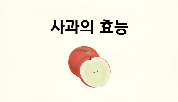 사과의 효능 썸네일
